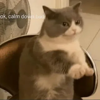 🗿 1ccd4dc5 ok, calm down bud mèo, hài hước, meme, yên bình, động vật, thú cưng telegram sticker