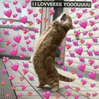 🗿 b8c6a4e4 I LOVVVEEEE YOOOUUU mèo, yêu, trái tim, dễ thương, meme, tình cảm, động vật telegram sticker