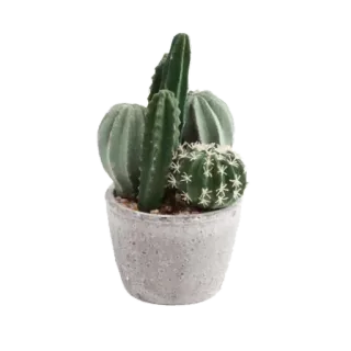 @sticksvirt telegram stickers