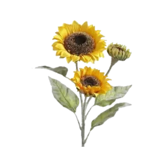 🌻 987bf95c zonnebloem, bloem, geel, plant, natuur, bloemen telegram sticker