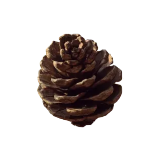 @sticksvirt whatsapp stickers