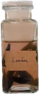 🌟 d03b20c6 Leeches bloedzuigers, fles, medisch, monster, pot telegram sticker