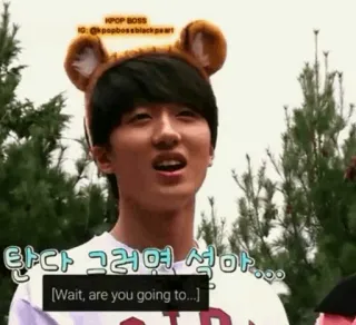 🀄️ fb97aaf7 한다 그러면 석아...
[Wait, are you going to...] kpop, coreano, tigre, orecchie da animale, uomo, didascalia whatsapp sticker