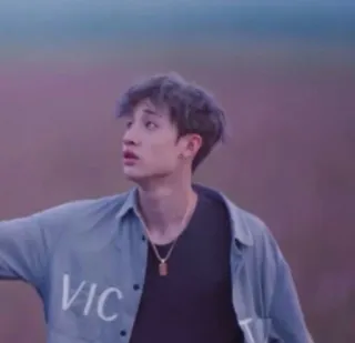 🏹 832aa1a1 VIC telegram sticker