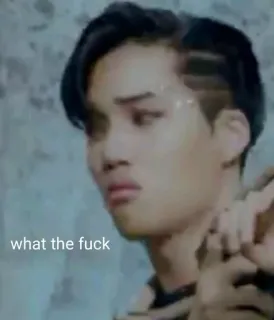 🔵 329100f2 what the fuck Meme, Wyraz, Zszokowany, Obraźliwy, Reakcja, Tekst telegram sticker