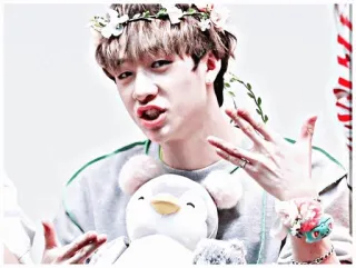 🎈 84335fcb whatsapp sticker