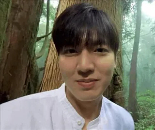 😊 1426218a мужчина, лес, природа, портрет, человек, деревья whatsapp sticker