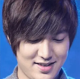 😌 ac01c543 Lee Min-ho актер, корейский, знаменитость, красавец, мужчина whatsapp sticker