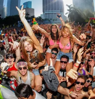 😍 f0a3c758 fiesta, multitud, festival, música, gente, concierto telegram sticker