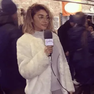 🐞 858ba55c Galerie 女人, 麦克风, 记者, 皮草大衣, 眼镜, 采访 telegram sticker