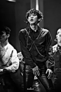 🥀 efb3f461 Hotpoint мужчина, человек, певец, выступление, кожаные штаны, черная рубашка whatsapp sticker