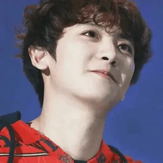 🙂 b2d40925 person, mann, porträt, promi, koreanisch, schauspieler, sänger telegram sticker