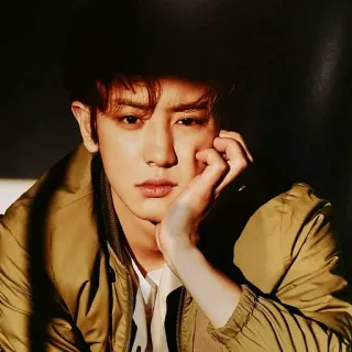 😏 d5ea8977 портрет, мужчина, человек, каштановые волосы, куртка, тень telegram sticker