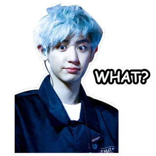 😨 1da5ea84 WHAT? kpop, meme, divertido, pregunta, confundido telegram sticker