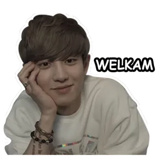 🙂 295e1795 WELKAM saludo, bienvenido, persona, celebridad, kpop telegram sticker