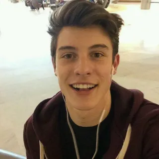👊 4ecded57 Shawn Mendes shawn mendes, singer, celebrity, musician, male, portrait telegram sticker