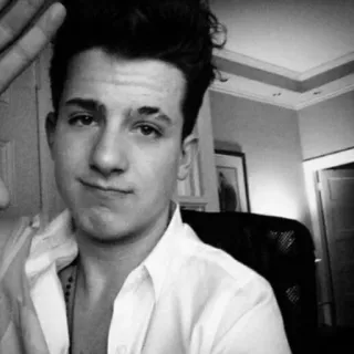 ✨ 0490f988 Charlie Puth persona, cantante, celebridad, artista, retrato telegram sticker