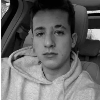 ✨ 23b01879 Charlie Puth celebridad, cantante, retrato, músico, selfie telegram sticker