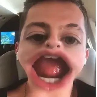 ✨ 294866d6 telegram sticker