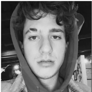 ✨ 2c53563c Charlie Puth cantante, compositor, músico, celebridad, retrato telegram sticker