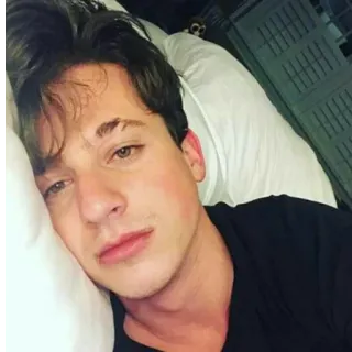 ✨ 85a7c832 Charlie Puth cantante, celebridad, músico, retrato, persona, hombre telegram sticker