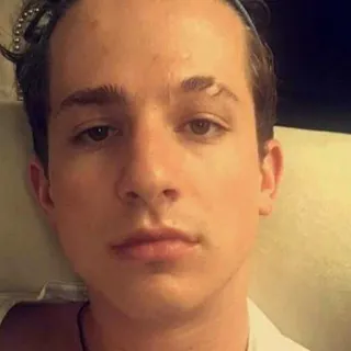 ✨ 92912ae8 Charlie Puth persona, cantante, retrato, famoso, música telegram sticker