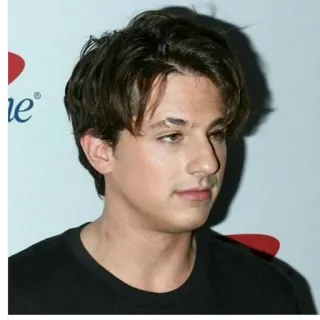✨ a1760b02 Charlie Puth celebridad, cantante, músico, Charlie Puth telegram sticker