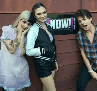 Charlie Puth //mood telegram stickers