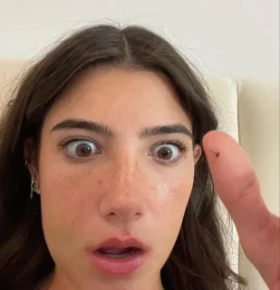 😦 1817318e Charli D'Amelio influencer, finger, social media, internet celebrity, Charli D'Amelio whatsapp sticker