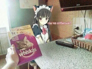 🙊 35323bc4 -ты че отбитый? Fille anime, Nourriture chat, Whiskas, Russe, Tenue de soubrette, Cuisine telegram sticker