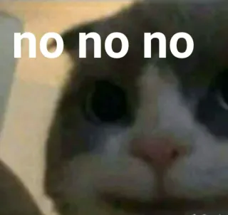 🐱 36c1fceb no no no kat, nee, meme, grappig, dier telegram sticker