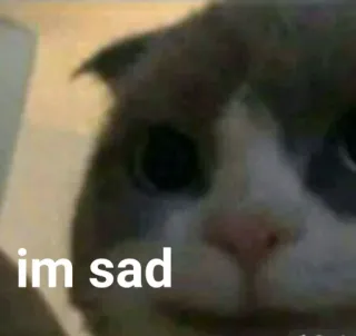 🐱 577d5f86 im sad kat, verdrietig, meme, dier, huisdier, ik ben verdrietig telegram sticker