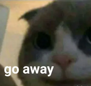 🐱 6b1d2820 go away kat, meme, rot op, grappig, dier telegram sticker