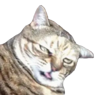 🤢 6aa63191 고양이, 동물, 애완동물, 혀 telegram sticker