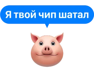 💂‍♀️ 996486d8 Я твой чип шатал 豚, ステッカー, ロシア語, テキスト, 動物 telegram sticker