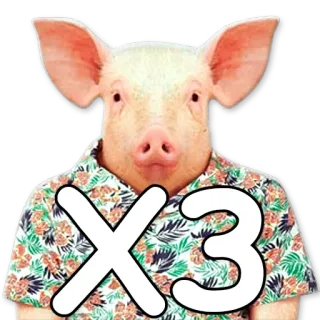 🙆 03a5c39f X3 babi, binatang, kaos, x3 telegram sticker