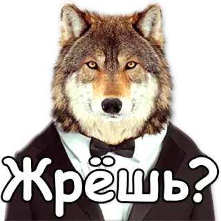 👀 5122994d Жрёшь? serigala, binatang, antropomorfik, tuksedo, lucu, rusia telegram sticker