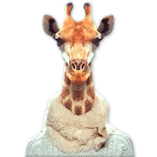 Сheeky animal @NBstickeria telegram stickers