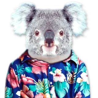 Сheeky animal @NBstickeria telegram stickers