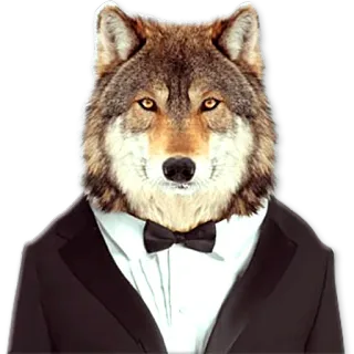 😎 b8363e39 serigala, hewan, setelan jas, tuksedo, pakaian formal, antropomorfik, dasi kupu-kupu, anjing telegram sticker