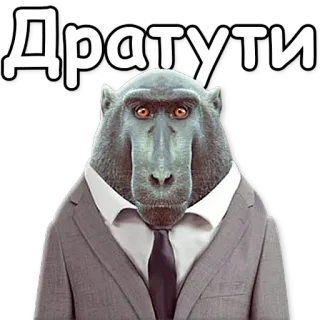 👋 c76cf79e Дратути monyet, setelan, dasi, binatang, rusia, teks, Dratuti telegram sticker