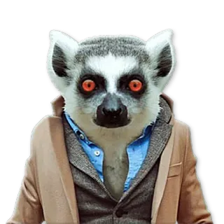 Сheeky animal @NBstickeria telegram stickers