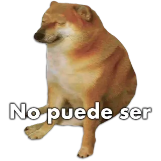 🐶 155dfedf No puede ser 강아지, 밈, 슬픈, Cheems, 앉아있는 telegram sticker