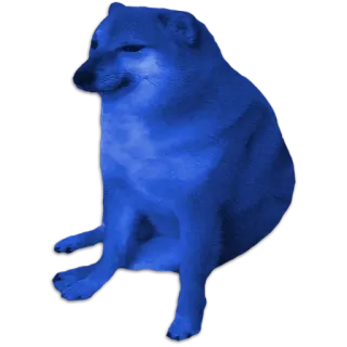 🐶 229a73a6 강아지, 밈, 침스, 동물, 파란색 telegram sticker