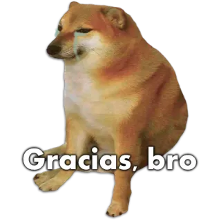 🐶 2ad085b2 Gracias, bro 개, 밈, 감사합니다, 형제, cheems, 울음 telegram sticker