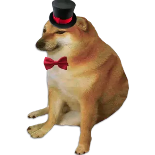 Cheems telegram stickers