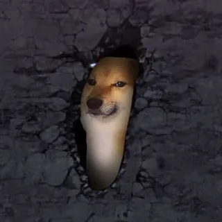 🐶 6127eecf Doge 강아지, 밈, 동물, 인터넷, 웃긴 telegram sticker