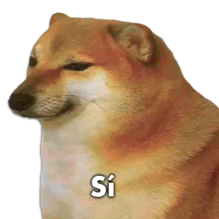 🐶 8e64ec82 Sí 개, 밈, 치무스, 네 telegram sticker