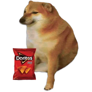 🐶 a17e8791 Doritos Nacho Cheese doge, 도리토스, 간식, 음식, 밈 telegram sticker