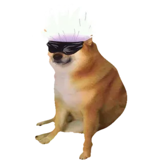 Cheems telegram stickers